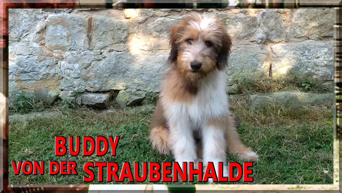 Wäller von der Straubenhalde